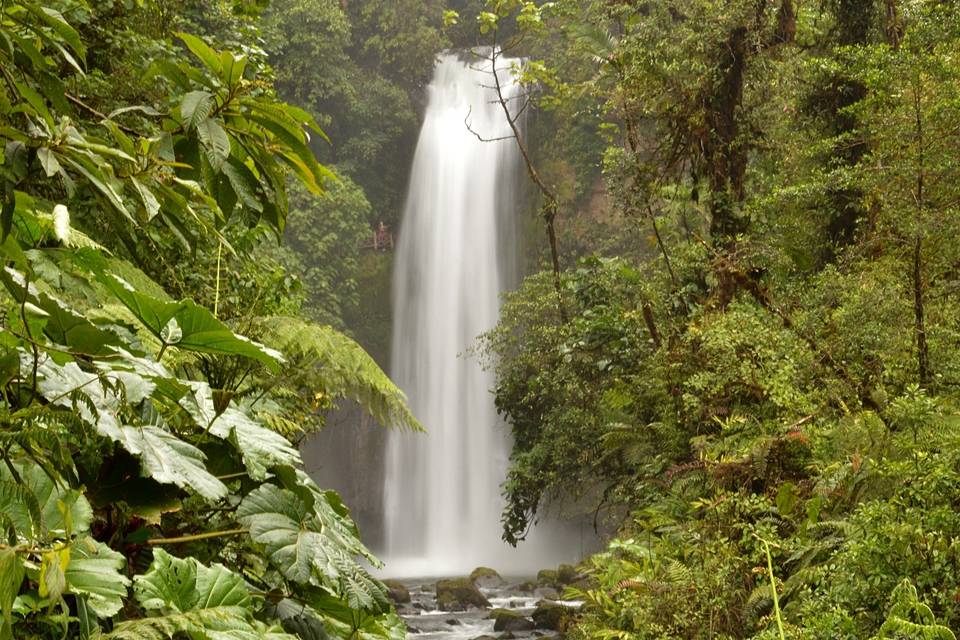 Cascada Cesleste, Costa Rica