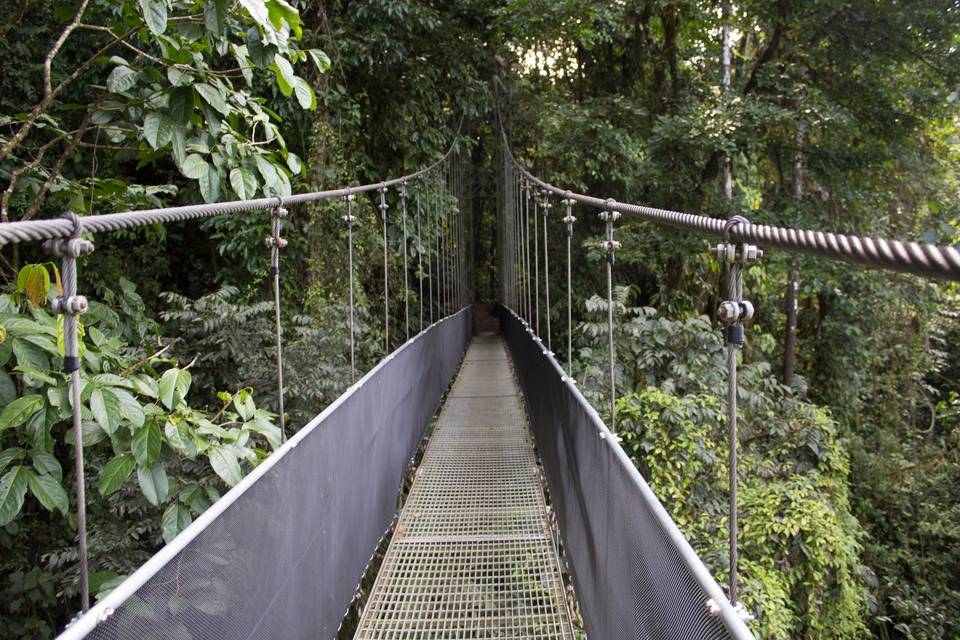 Monteverde, Costa Rica