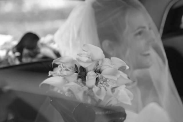 The Wedding Forest