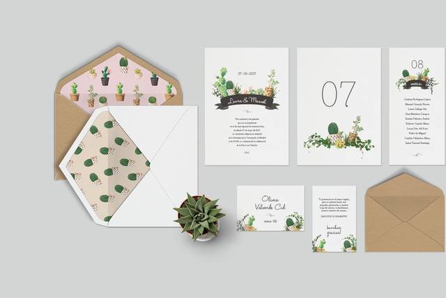 Cacti Obsession