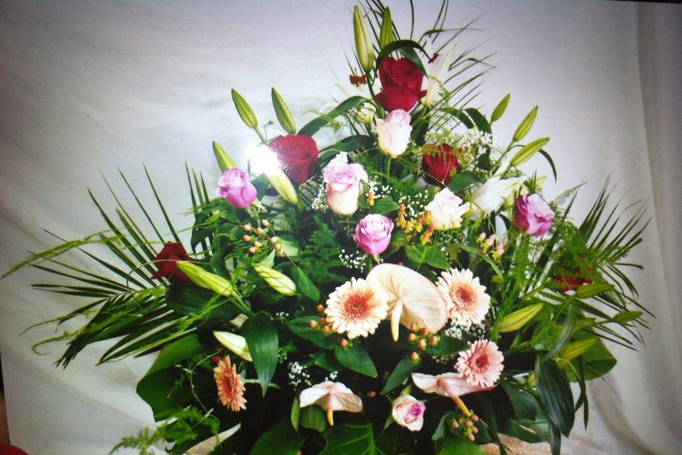 Floristería Los Abetos