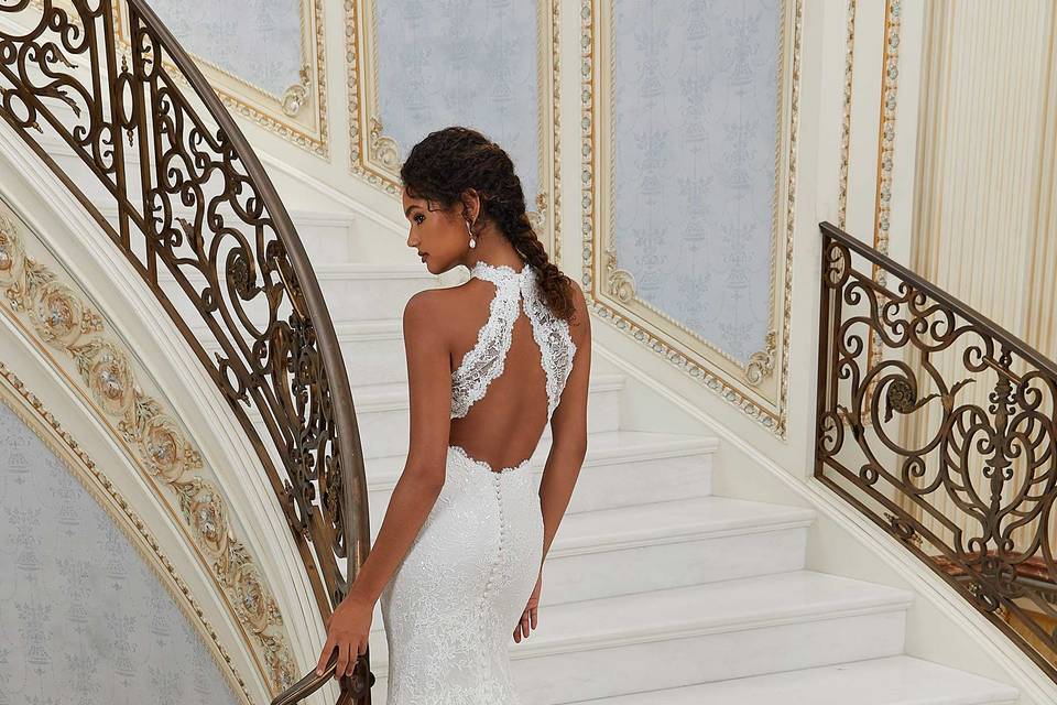 Nueva Coleccion