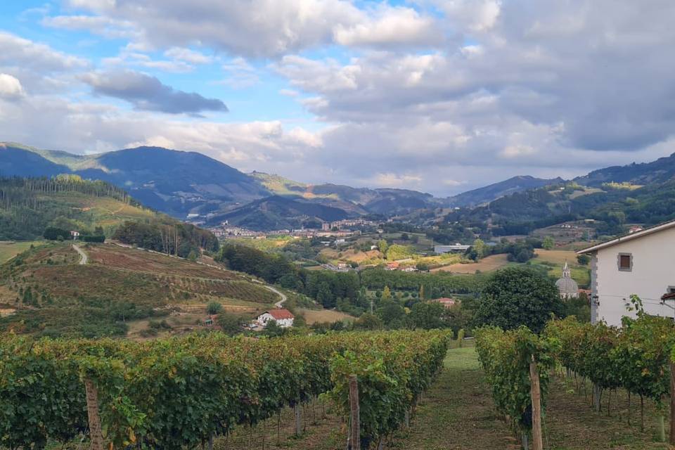 Vistas desde atrás de la casa