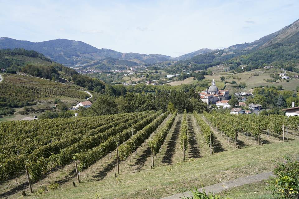 Vista desde delante