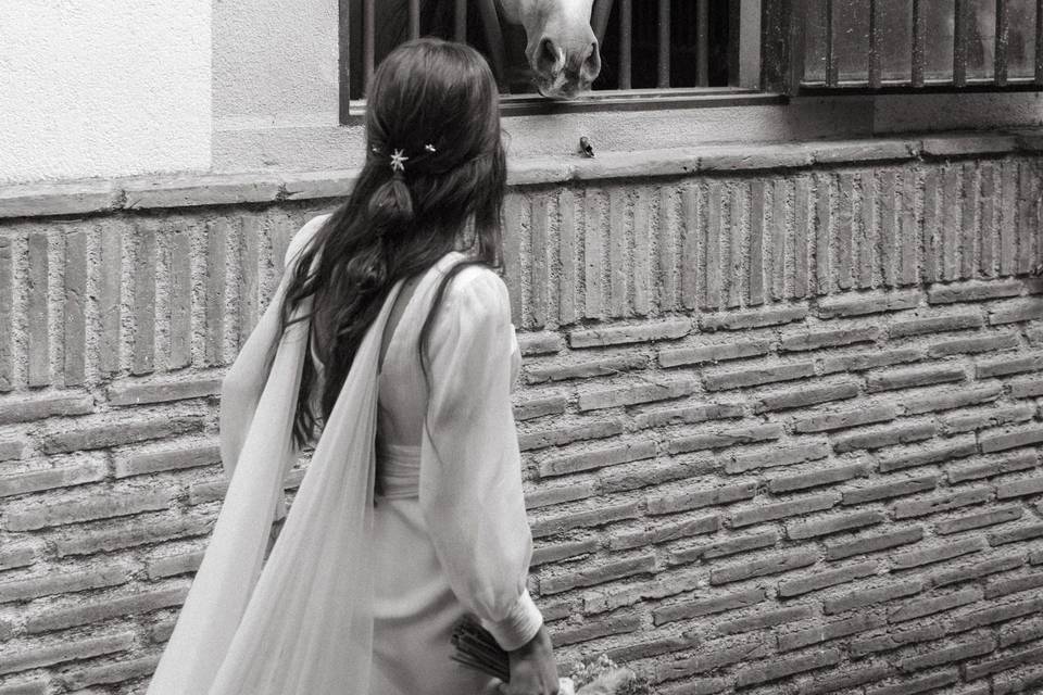 Boda De Jara