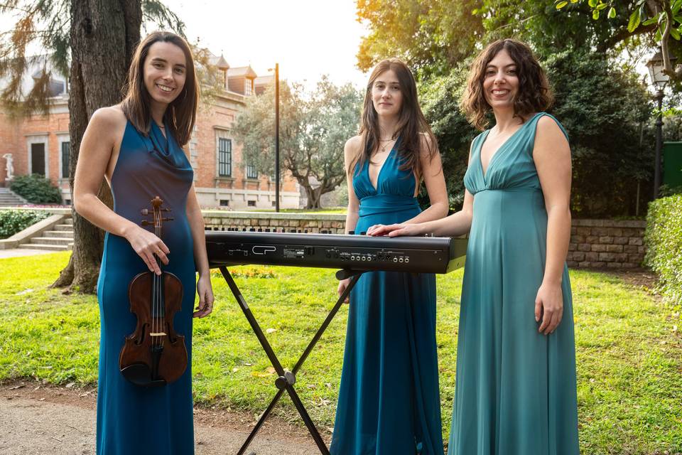 Dalias Band