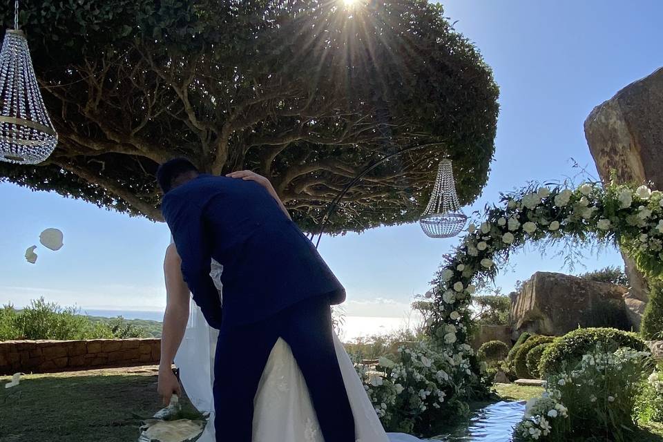 LOVE GARDEN - BOLONIA