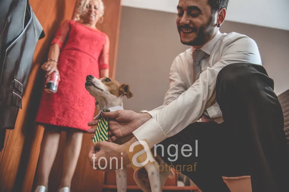 Toni Angel Fotògrafs