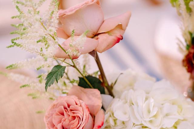 Detalle