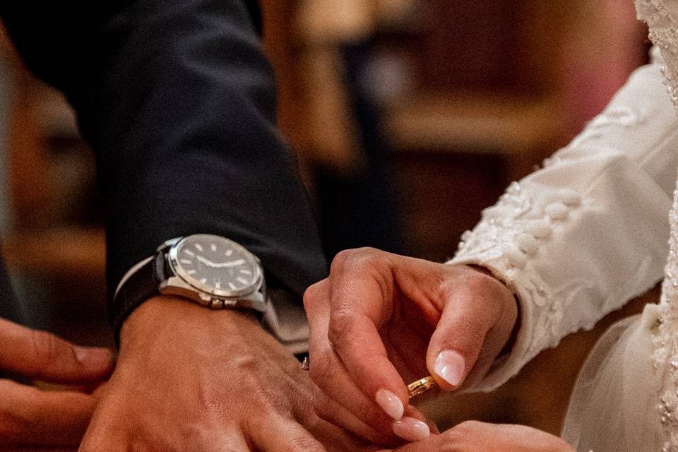 Anillos