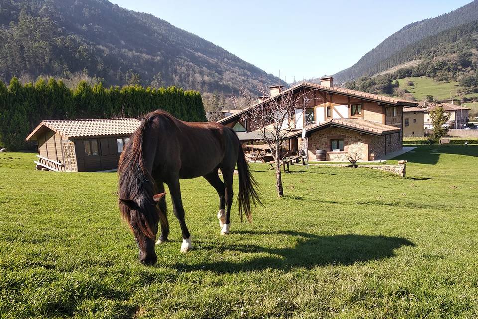 Agroturismo Lezamakoetxe