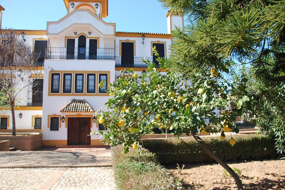 Patio cortijo