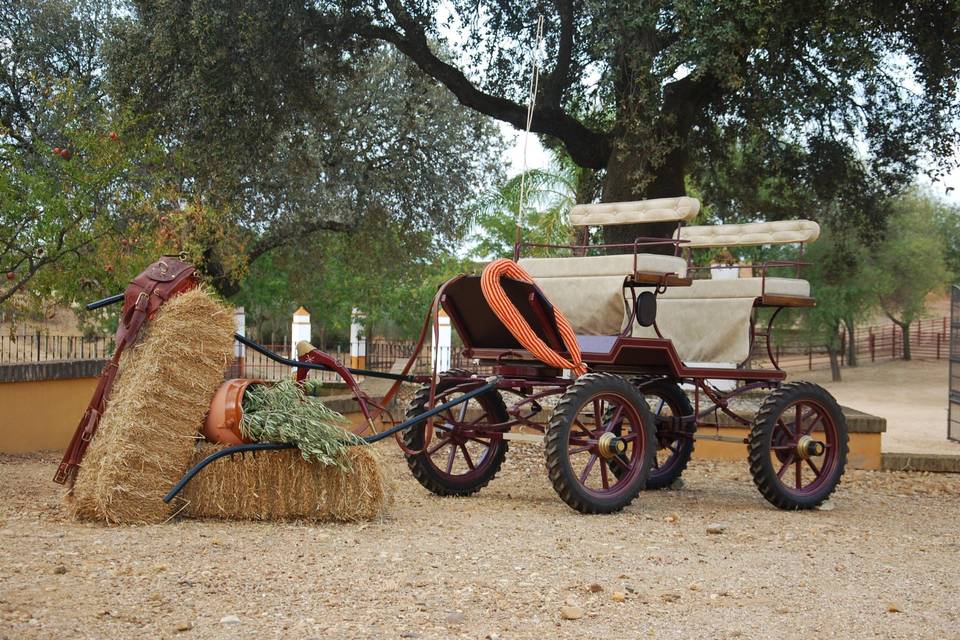 Cortijo Los Millares