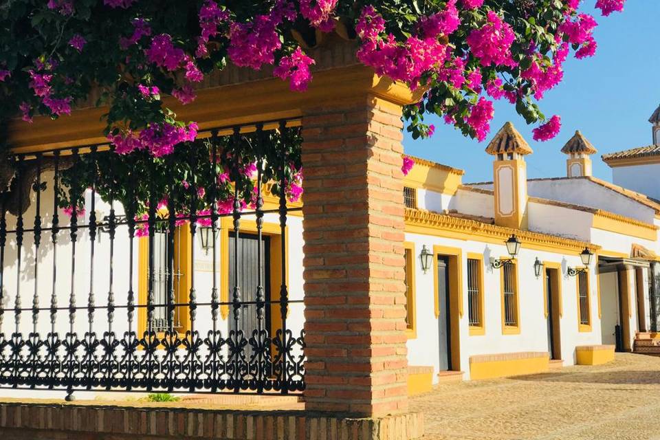 Patio cortijo