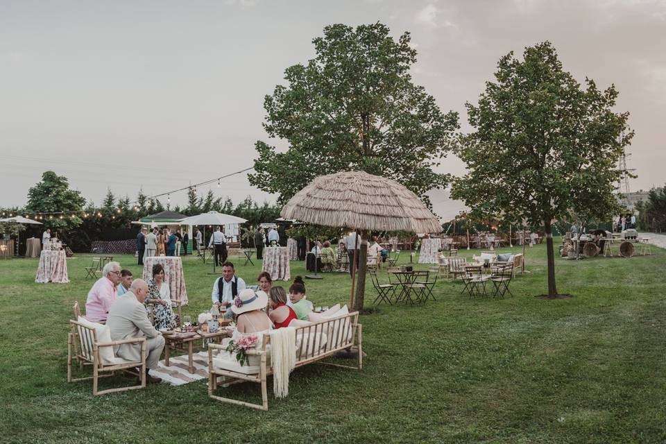 Panorámica cocktail