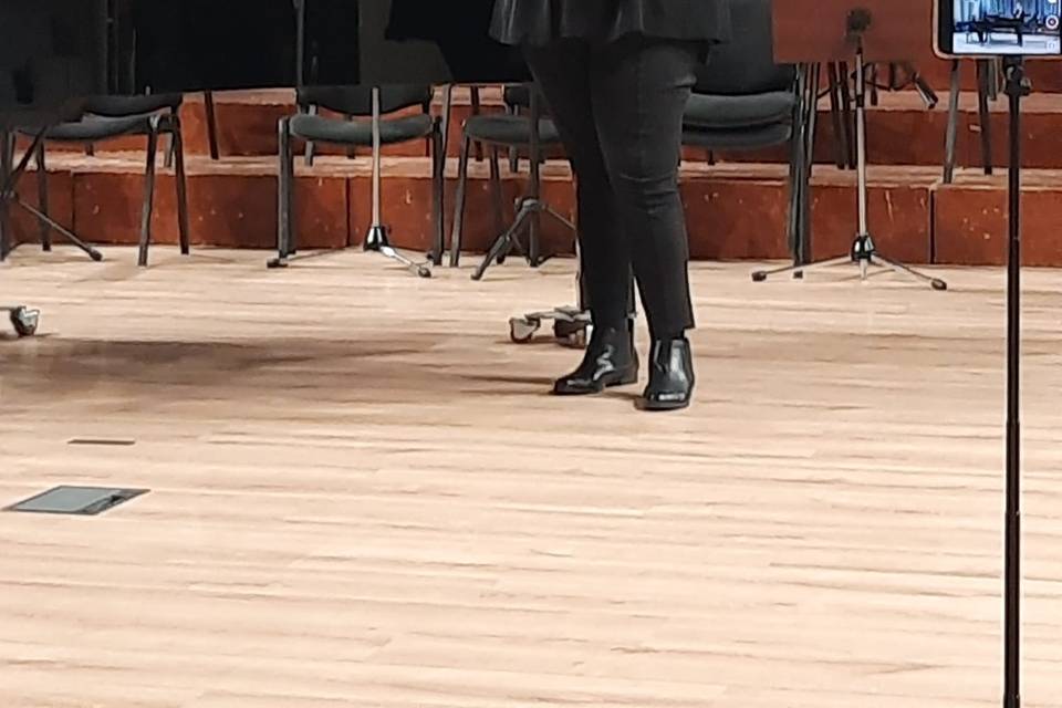 Profesionalidad
