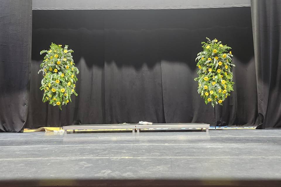 Presentación