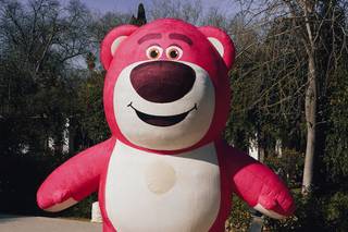 Fiest-On - Mascotas Hinchables