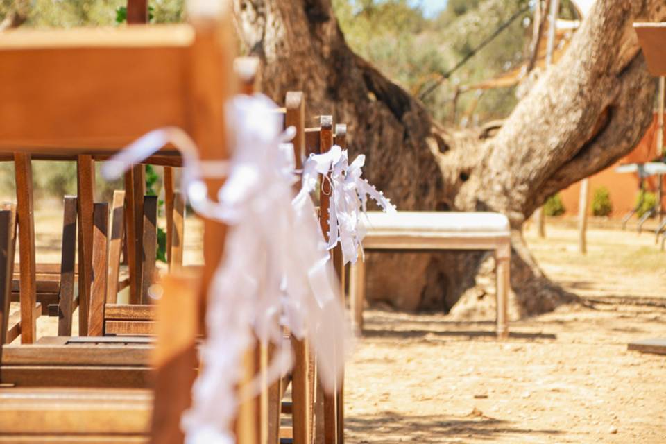 Boda íntima entre olivos