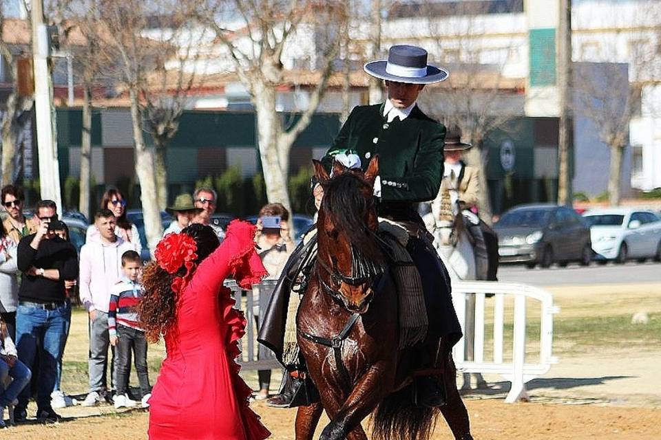 Día de Andalucía