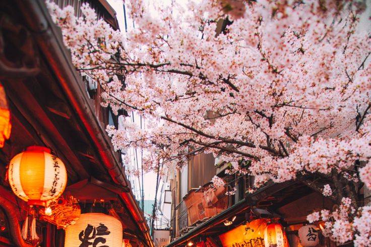 Magia oriental en pareja