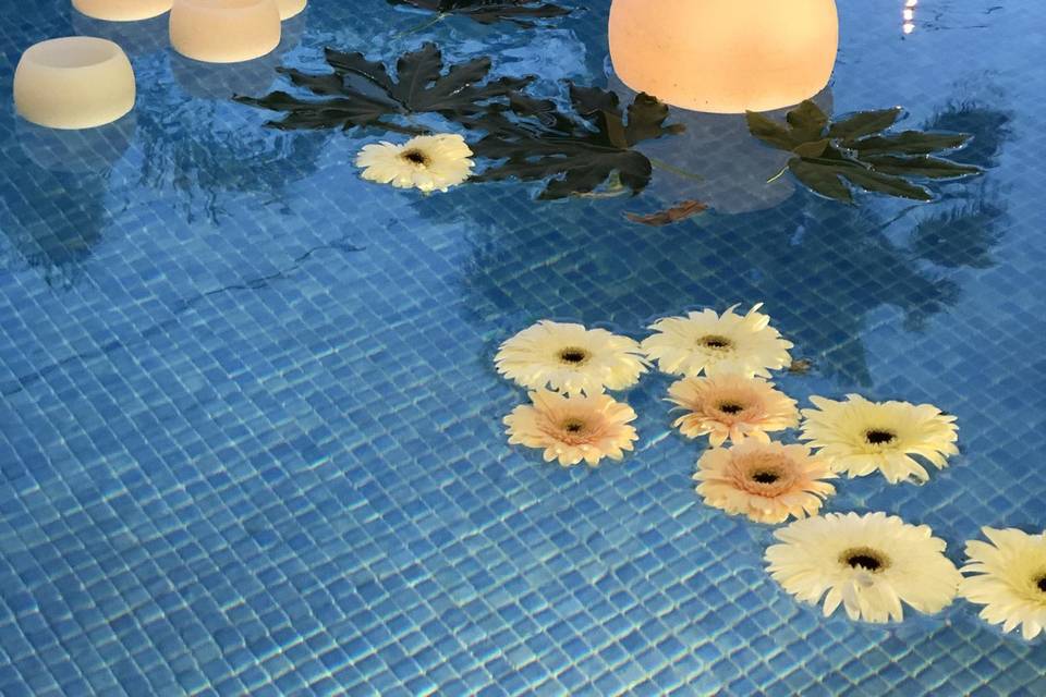 Decoración piscina