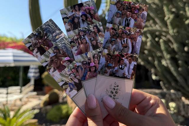Fotos