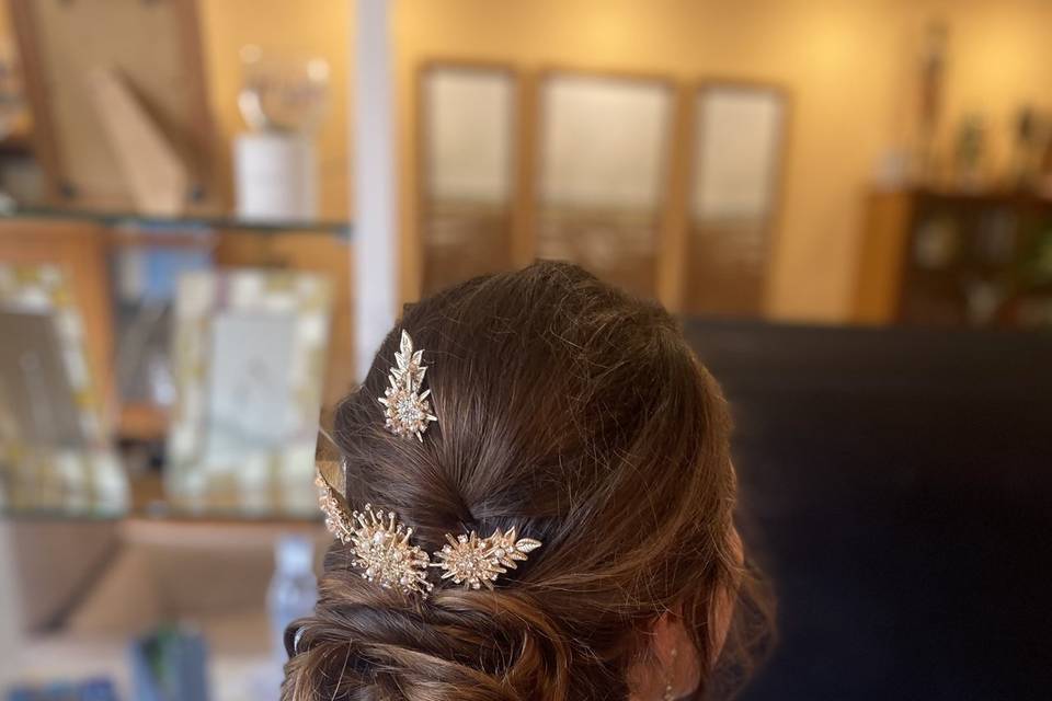 Recogido romántico Novia