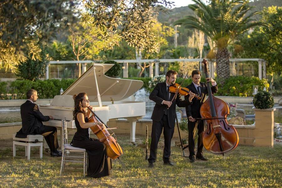 Musica en directo en la finca