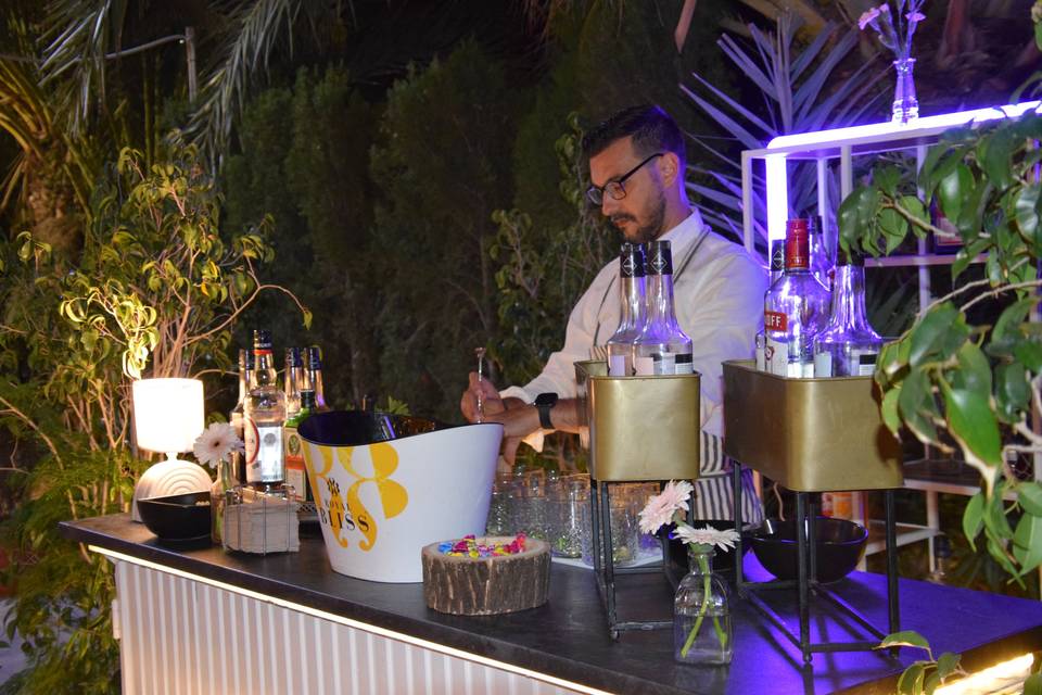 Mojitos & cócteles