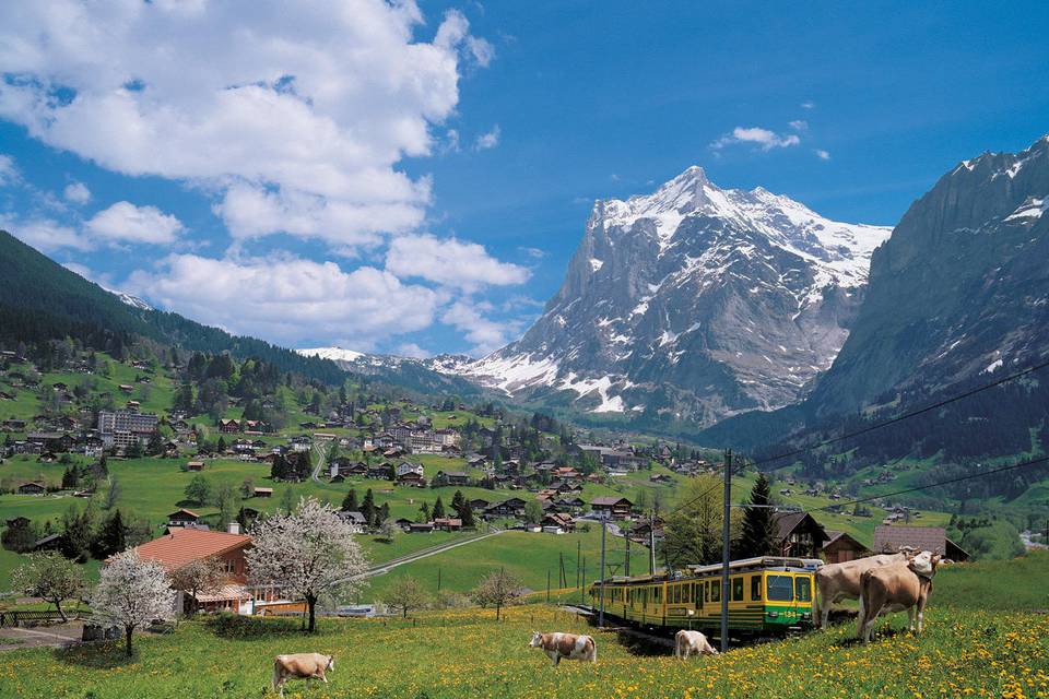 Grindelwald - Suiza