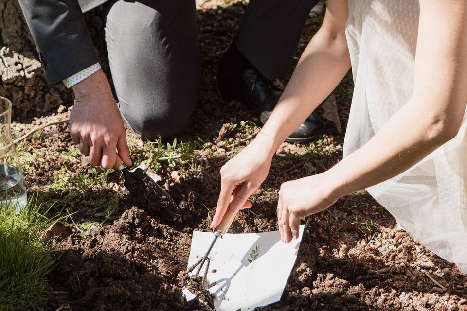 Novios plantando votos