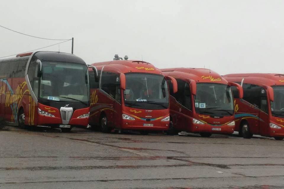 Autobús 55 plazas