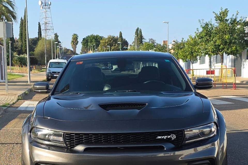 Frontal