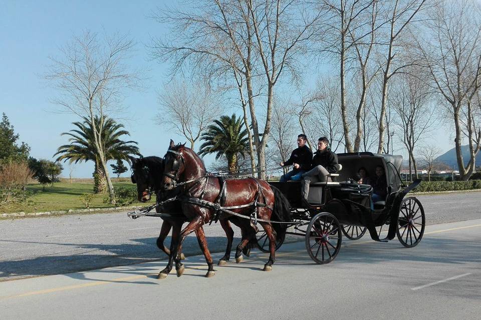 Coche de caballos