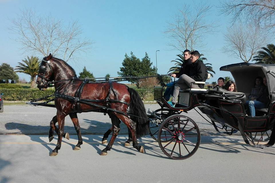 Coche de caballos