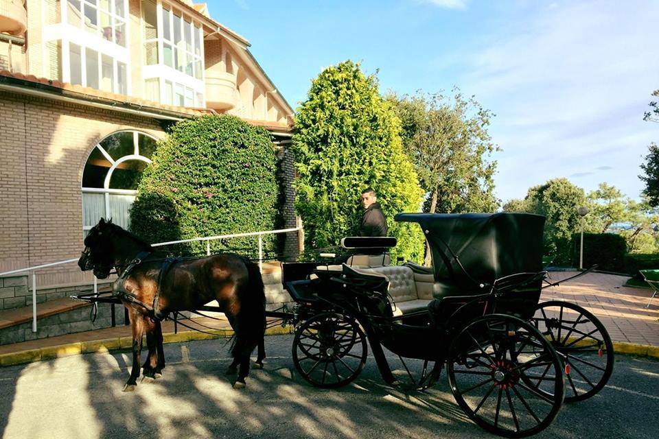 Coche de caballos