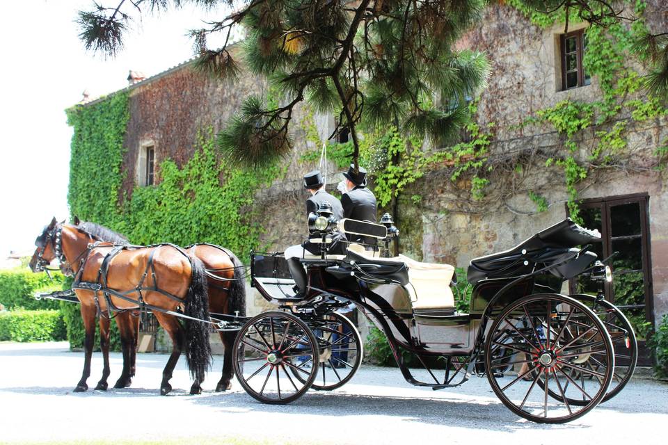 Coche de caballos estacionado