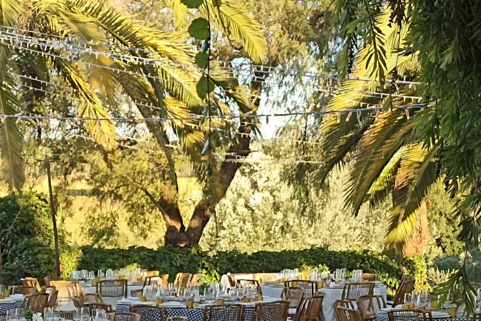 Jardin
