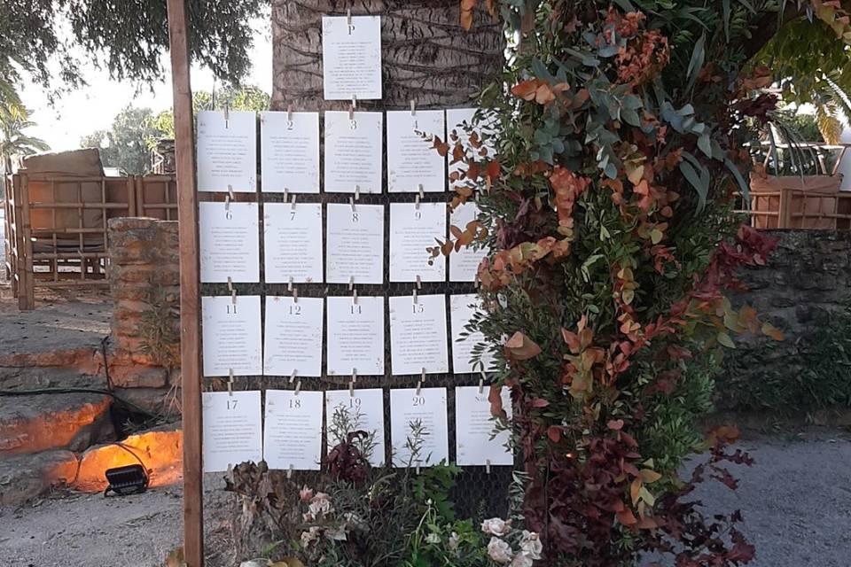 Planificación