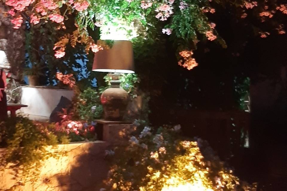 Jardin