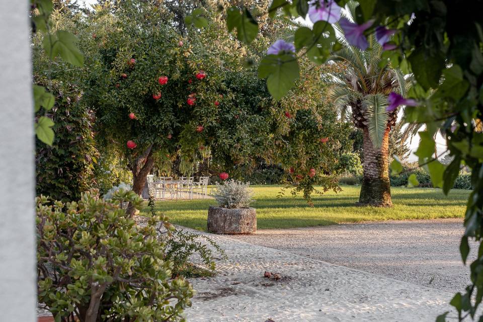 Finca Mesa Jardín