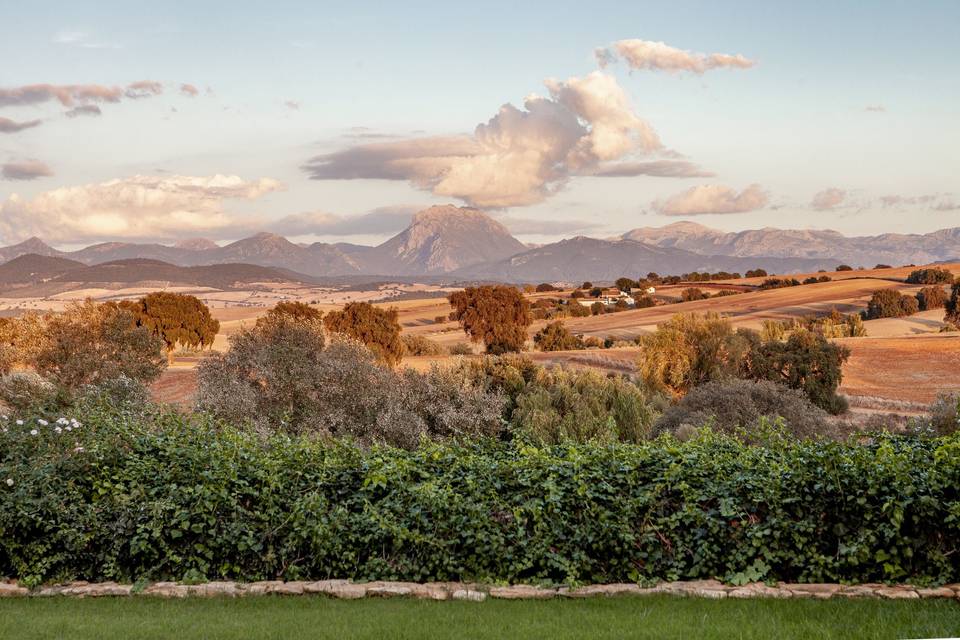 Finca Mesa Jardín