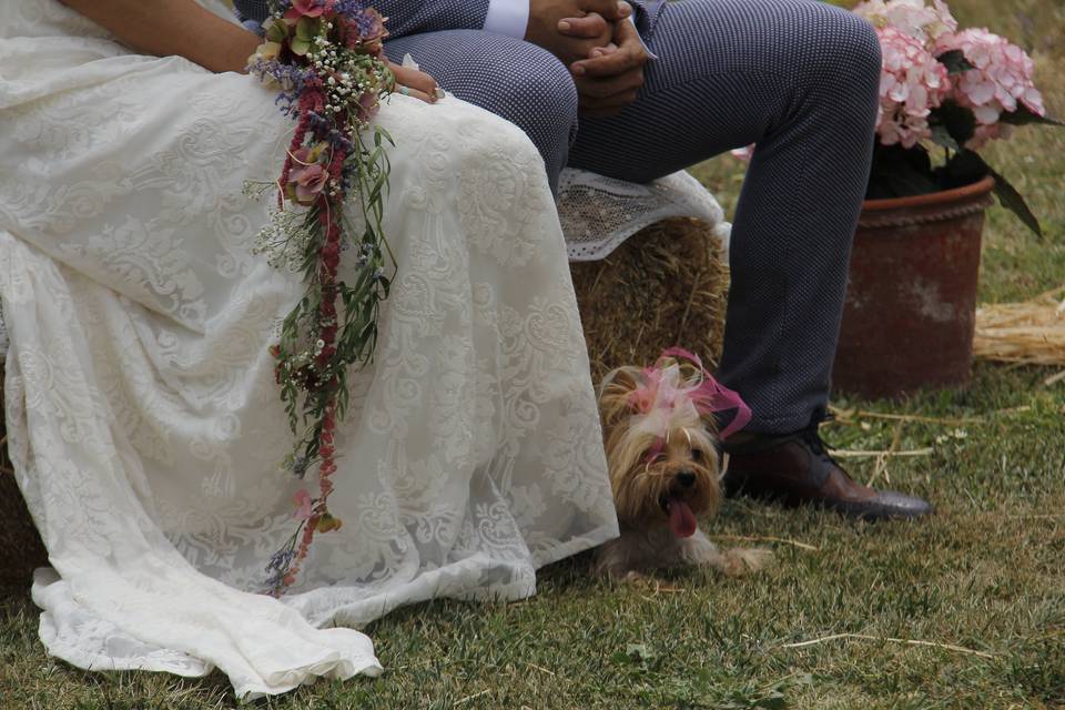 Entrada de la novia