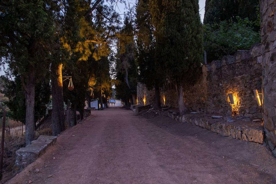 Camino hacia entrada principal