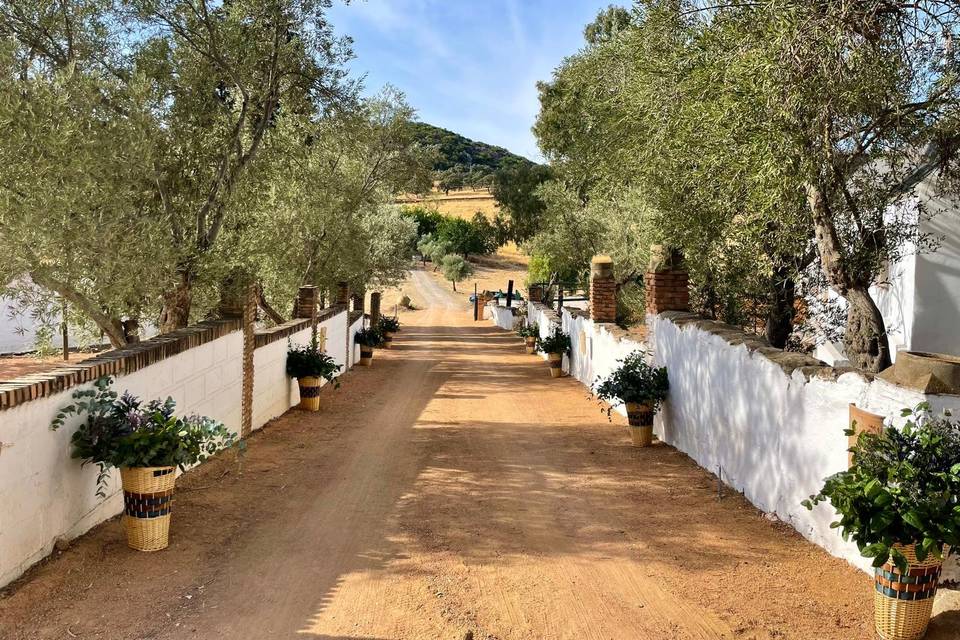 Entrada a la Hacienda