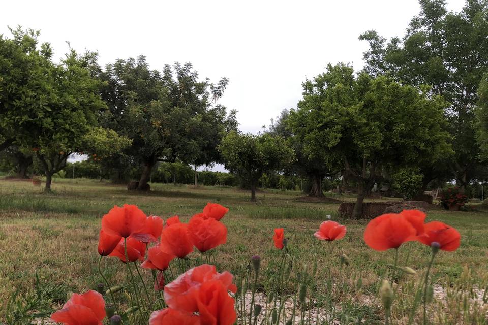 Espacios en la Alquería