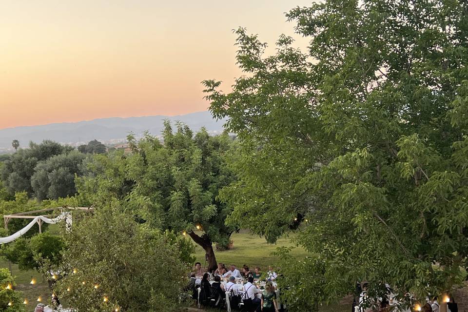 Atardecer de boda