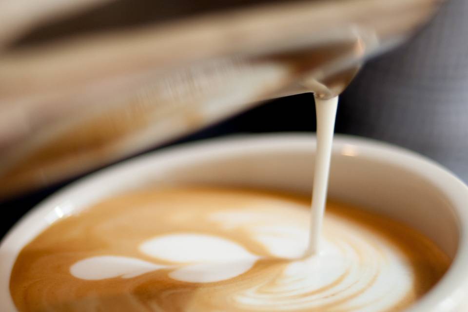 Los mejores baristas