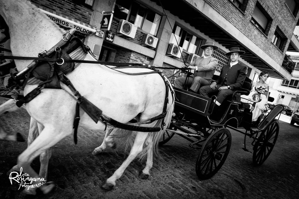 Fotógrafo de boda Las Palmas